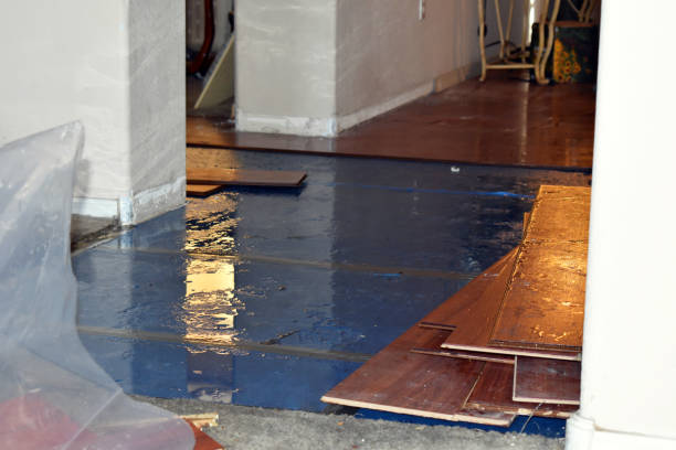 Professional Basement Flood Cleanup technician working in Methuen, MA